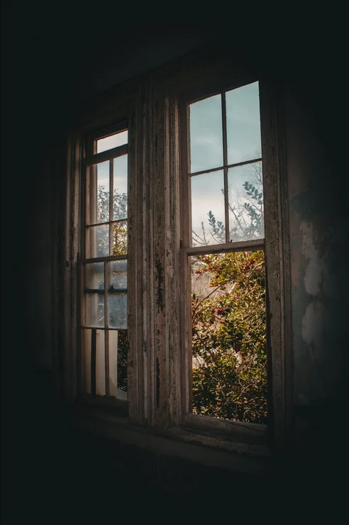 Broken windows viewed from inside one of the abandoned buildings at Central State Hospital, where decades of vandalism and neglect have accelerated the decay of what was once the world's largest psychiatric hospital.